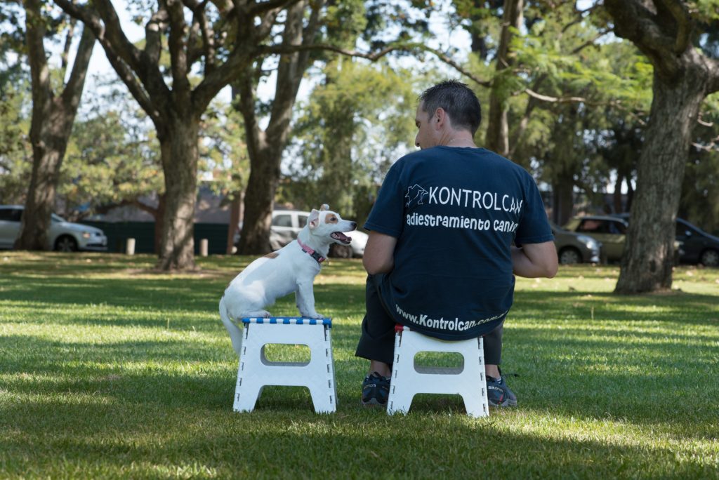 Para portada